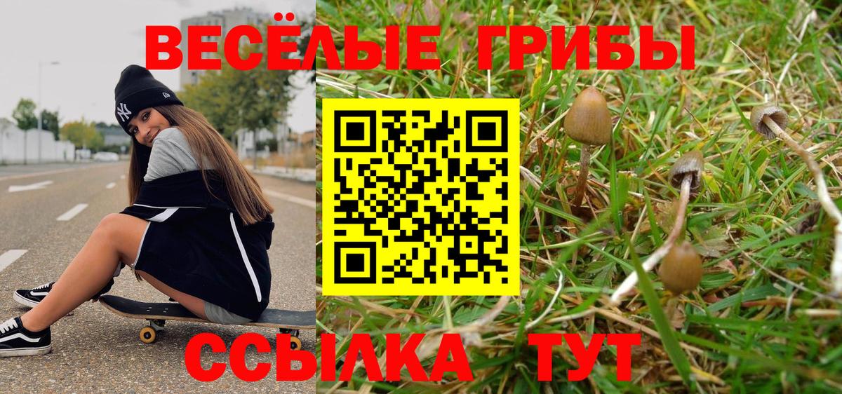 Галлюциногенные грибы мицелий Сосновый Бор