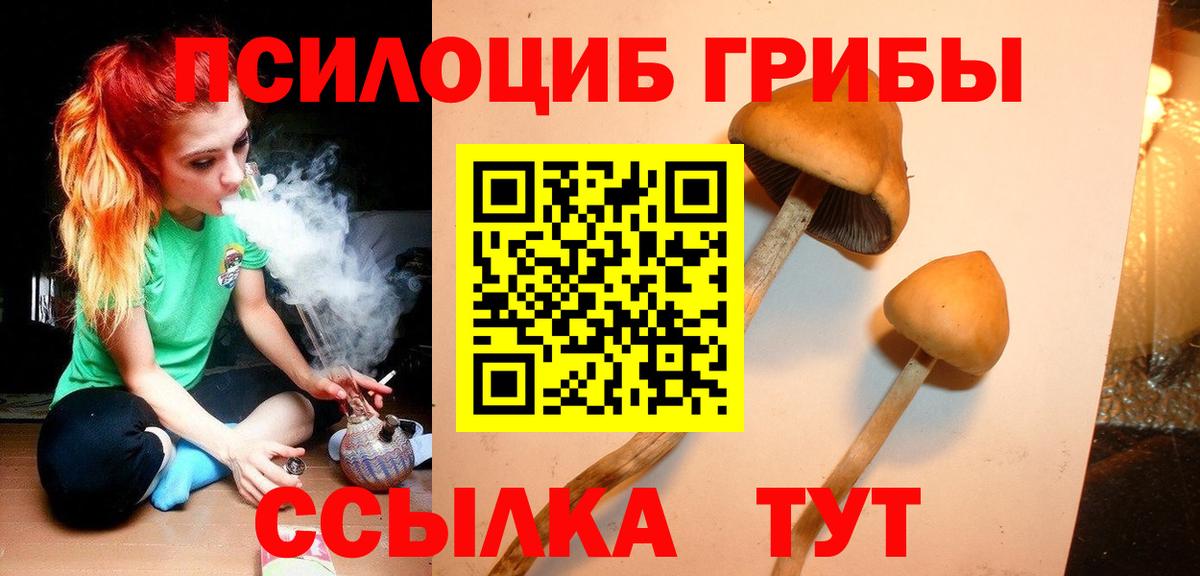 Сосновый Бор  Псилоцибиновые грибы GOLDEN TEACHER  дарнет шоп  Вход с VPN 