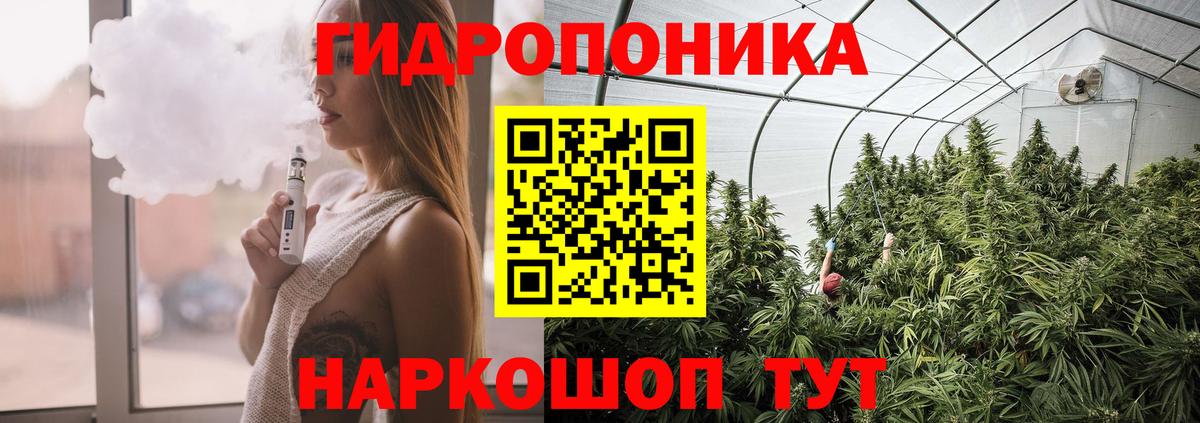 Бошки Шишки OG Kush Сосновый Бор