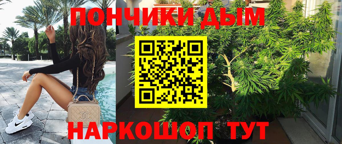 Бошки марихуана LSD WEED  Бошки марихуана SATIVA & INDICA  Бошки Шишки ГИДРОПОН  Сосновый Бор  Вход с VPN  Шишки марихуана тримм 